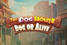 The Dog House – Dog or Alive